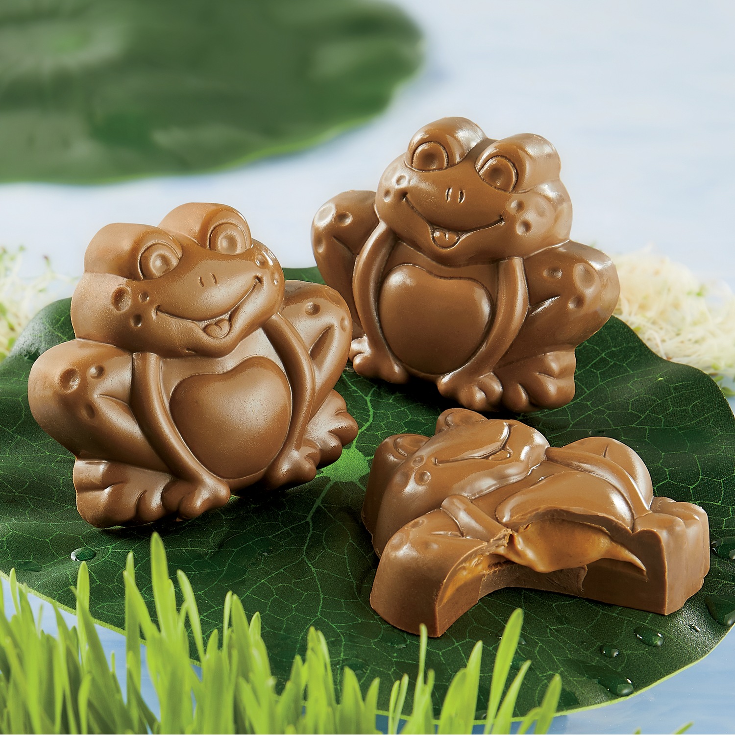 Chocolate Frogs Wisconsin Cheeseman