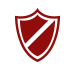 credit shield icon